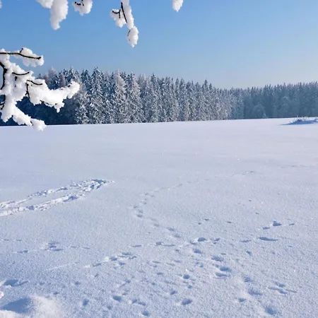 In Mit Grill Und Garten By Interhome *