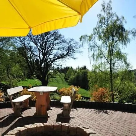 In Hohegeiss Mit Grill Und Garten By Interhome Braunlage