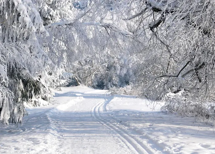 In Mit Grill Und Garten By Interhome Apartment *