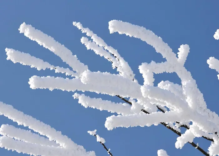 In Mit Grill Und Garten By Interhome *